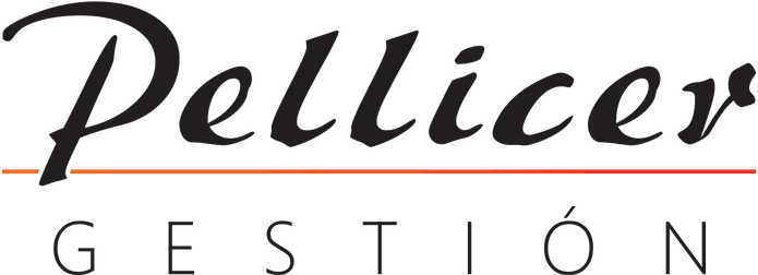 Pellicer Gestión